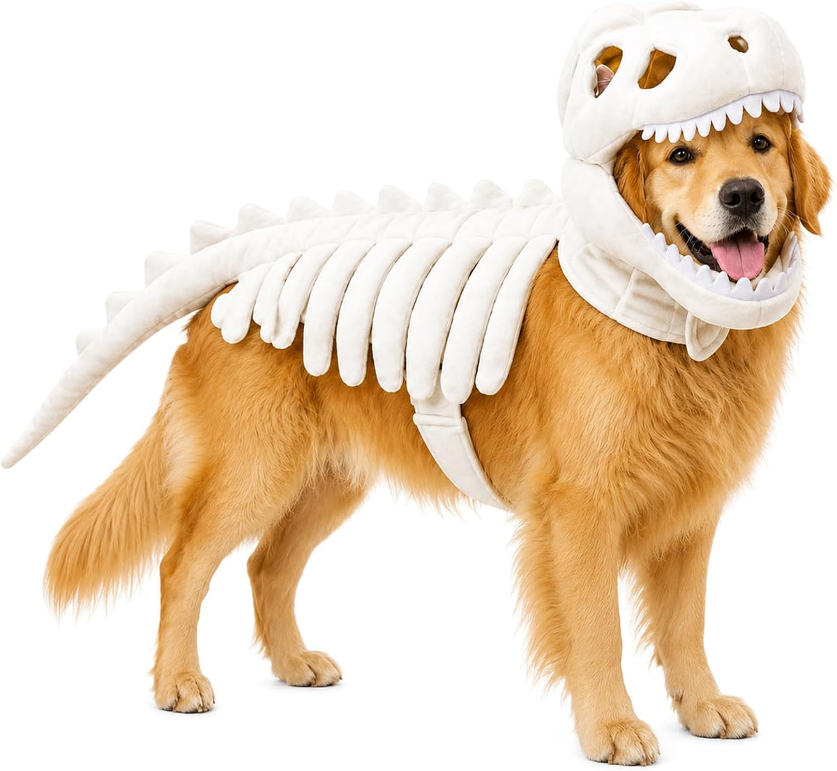 BoneBuddies Pets